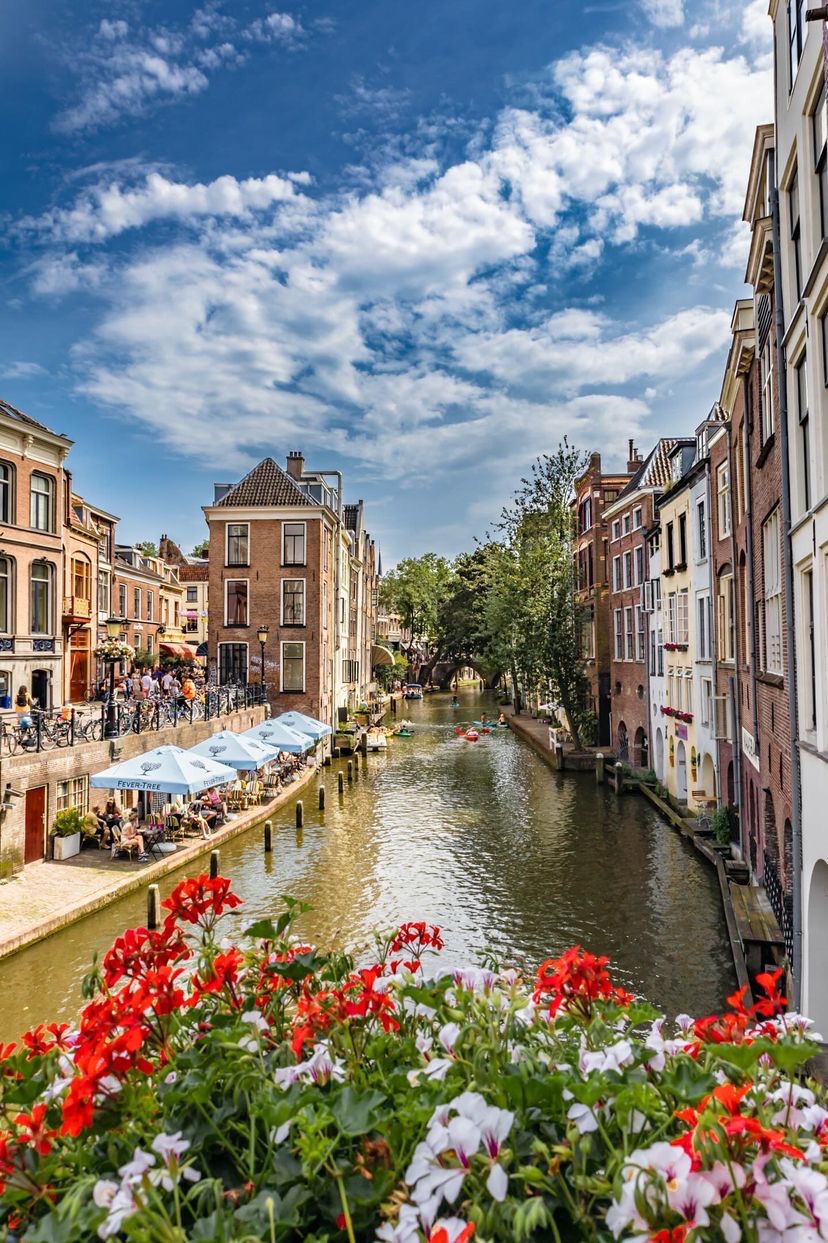 注意喚起！オランダ移住コンサル詐欺